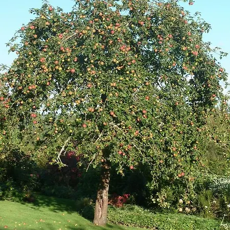 Bed & Breakfast La Porte Du Bosq ,chambre D'hote Pres De Deauville 3*
