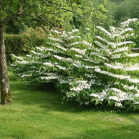La Porte Du Bosq ,chambre D'hote Pres De Deauville