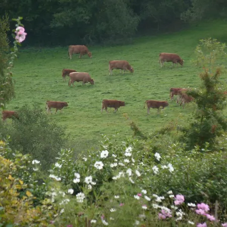 La Porte Du Bosq ,chambre D'hote Pres De Deauville 3*