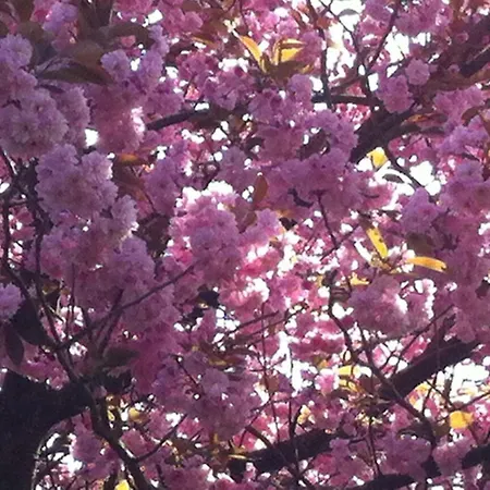 La Porte Du Bosq ,chambre D'hote Pres De Deauville Bed & Breakfast