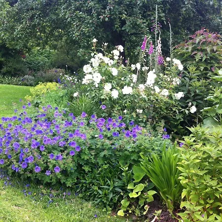 Bed & Breakfast D'hote Pres De Deauville *