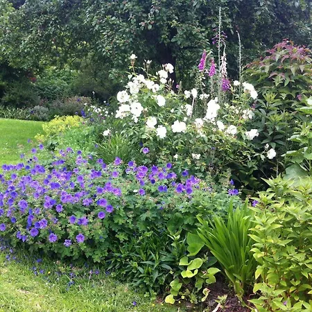 Bed & Breakfast La Porte Du Bosq ,chambre D'hote Pres De Deauville 3*