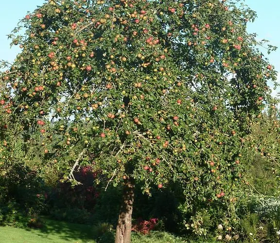 Bed & Breakfast La Porte Du Bosq ,chambre D'hote Pres De Deauville 3*