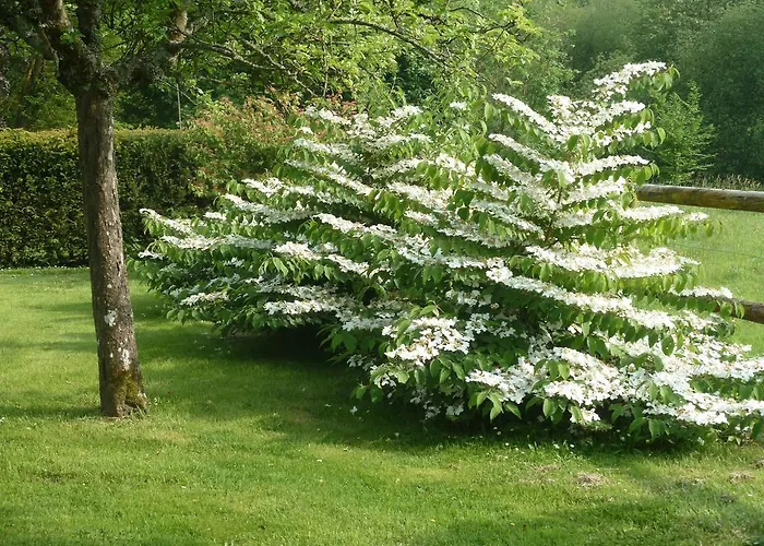 La Porte Du Bosq ,chambre D'hote Pres De Deauville