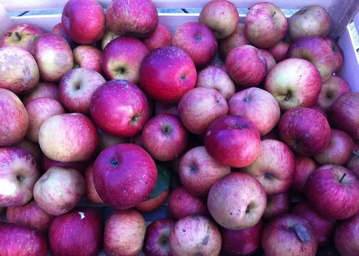 Bed & Breakfast La Porte Du Bosq ,chambre D'hote Pres De Deauville Surville (Calvados)