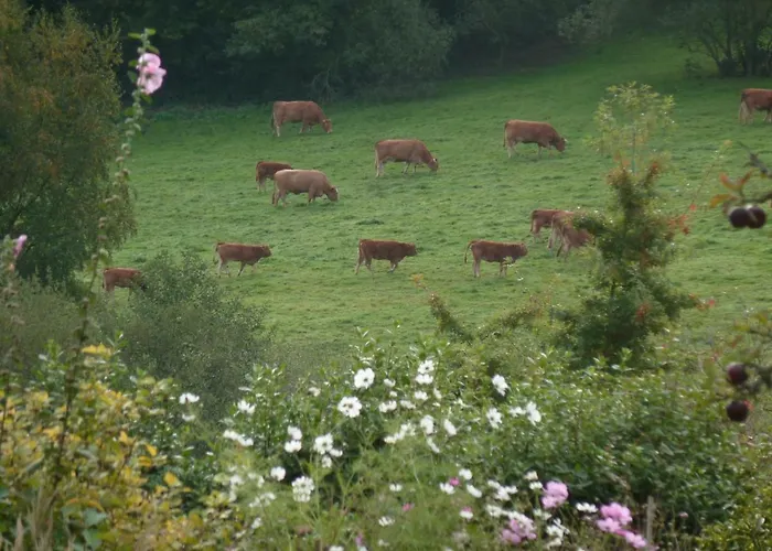 La Porte Du Bosq ,chambre D'hote Pres De Deauville 3*