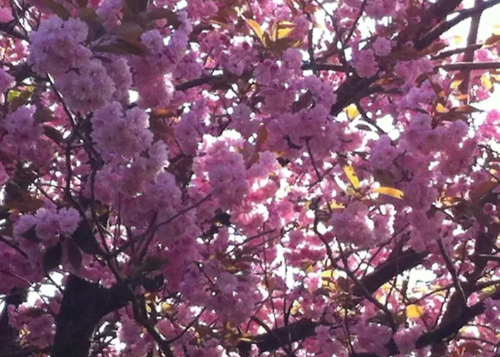 La Porte Du Bosq ,chambre D'hote Pres De Deauville Bed & Breakfast