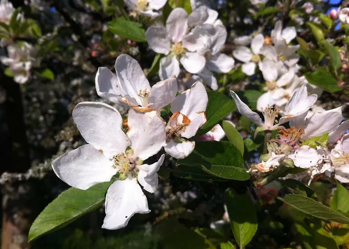 La Porte Du Bosq ,chambre D'hote Pres De Deauville Bed & Breakfast