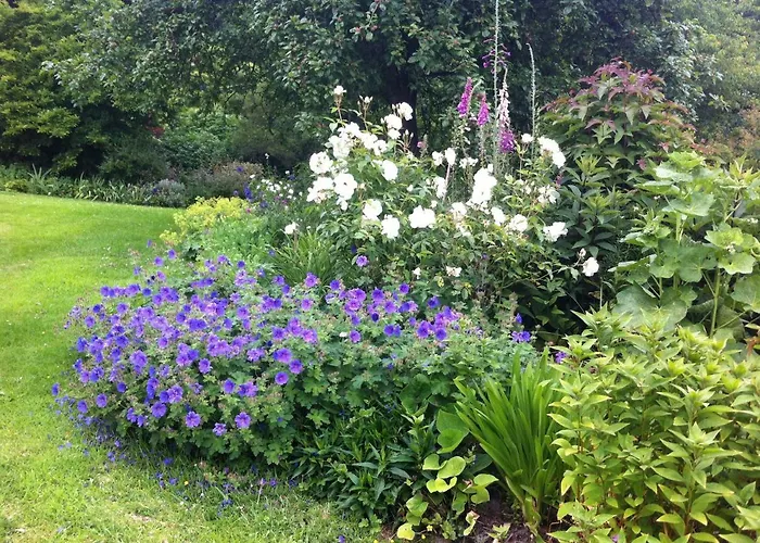 Bed & Breakfast La Porte Du Bosq ,chambre D'hote Pres De Deauville 3*